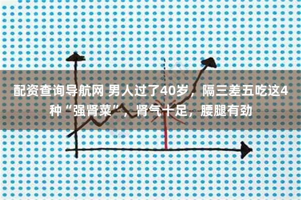 配资查询导航网 男人过了40岁，隔三差五吃这4种“强肾菜”，肾气十足，腰腿有劲